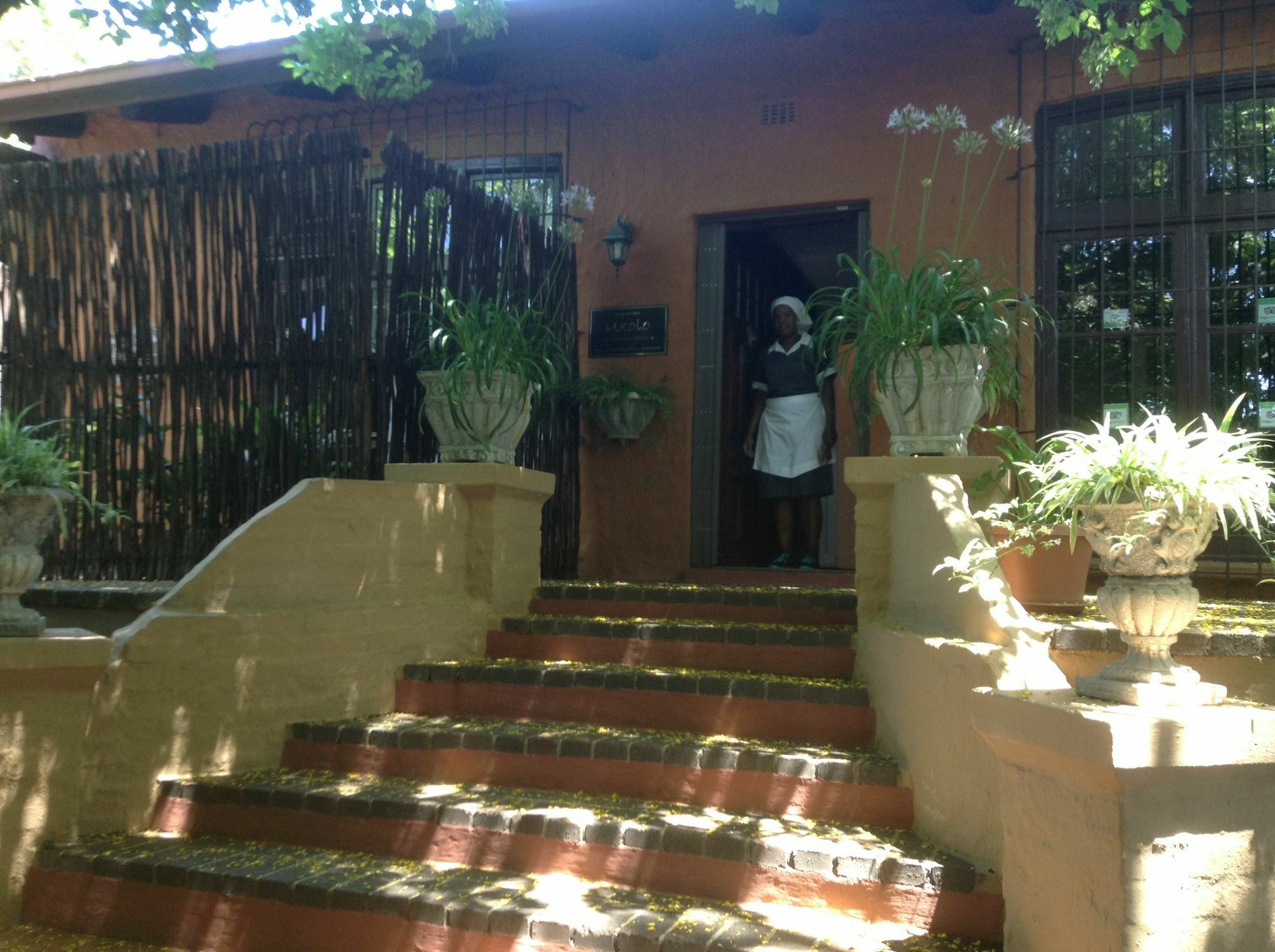 Hotel Charlie'S Spot - The Gardens Johannesburg Exteriér fotografie